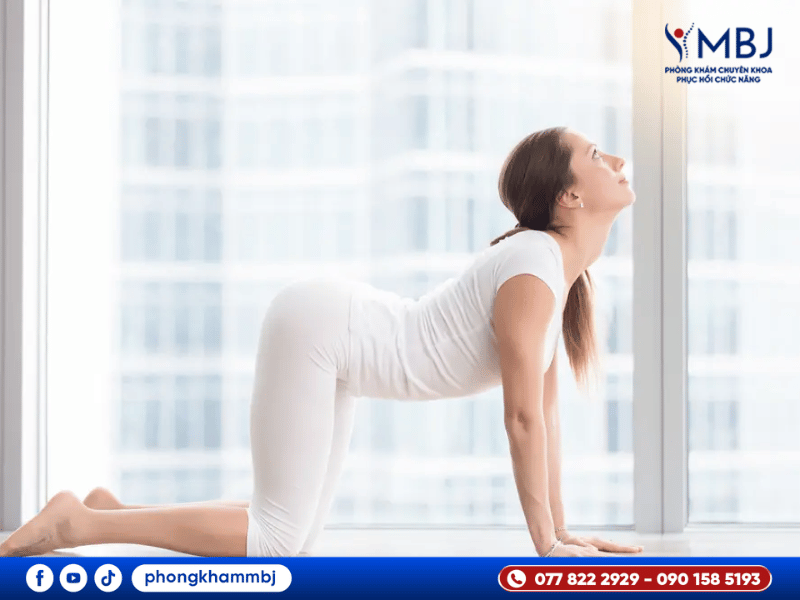 tư thế tập mèo bò hỗ trợ điều trị thoát vị đĩa đệm