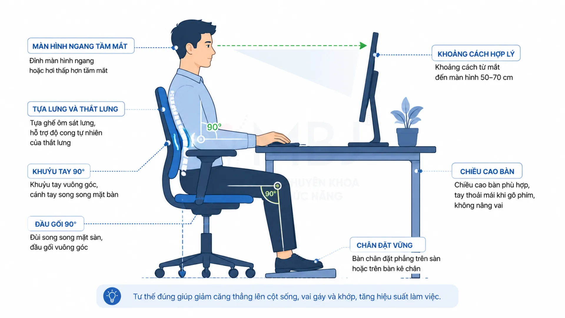 Thiết lập bàn làm việc ergonomics đúng chuẩn để phòng ngừa thoát vị đĩa đệm