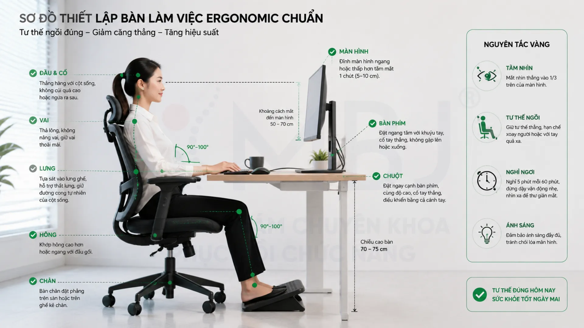Thiết kế bàn làm việc Ergonomic phòng ngừa thoát vị