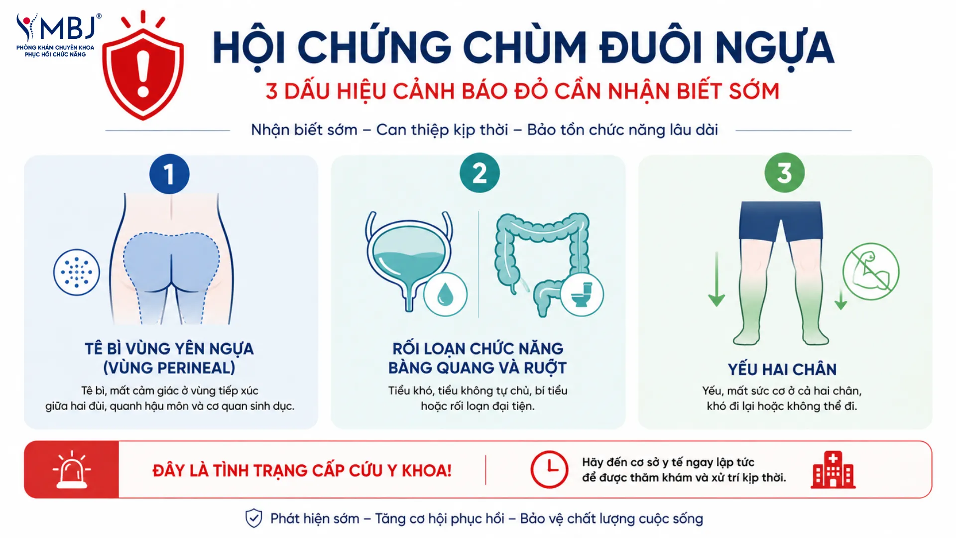 3 dấu hiệu hội chứng chùm đuôi ngựa cần đi cấp cứu