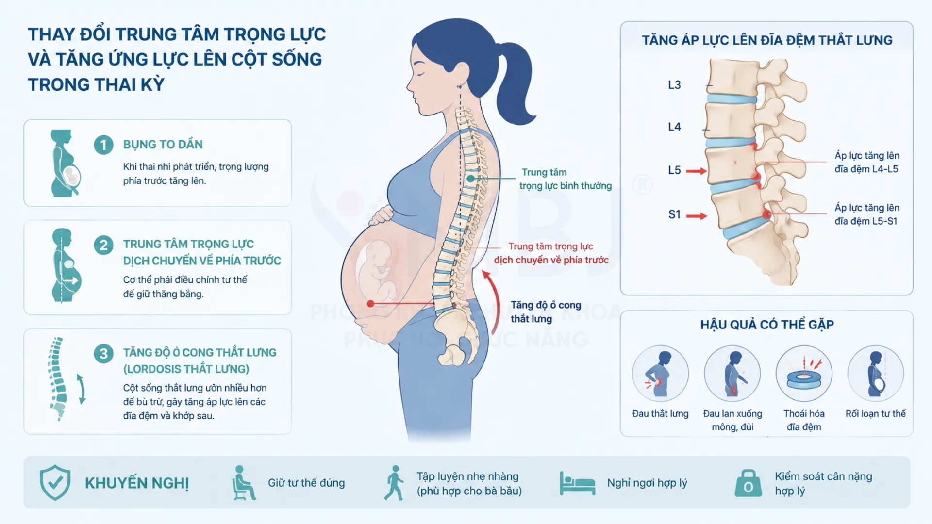 Thai kỳ làm trọng tâm dịch ra trước gây áp lực lên đĩa đệm L4-L5 và L5-S1