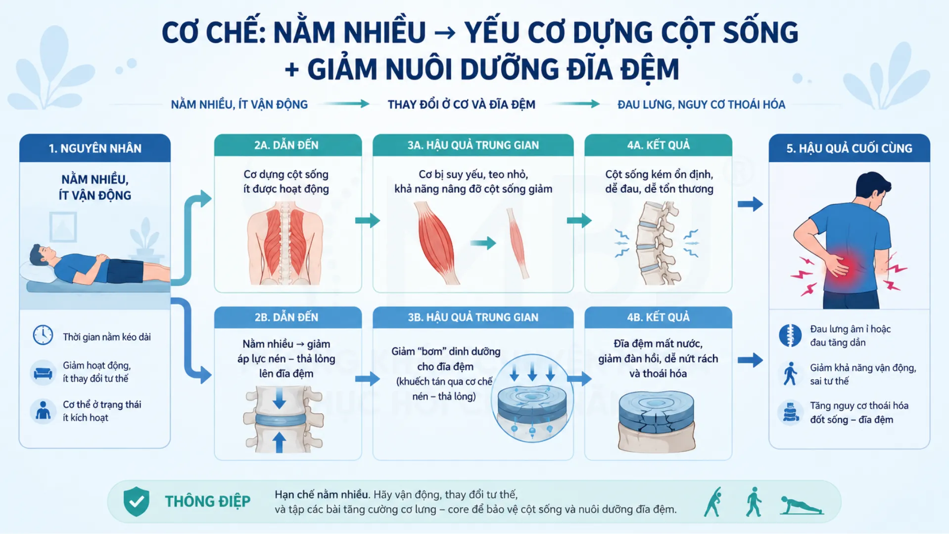 Cơ chế nằm nhiều gây yếu cơ và giảm nuôi dưỡng đĩa đệm