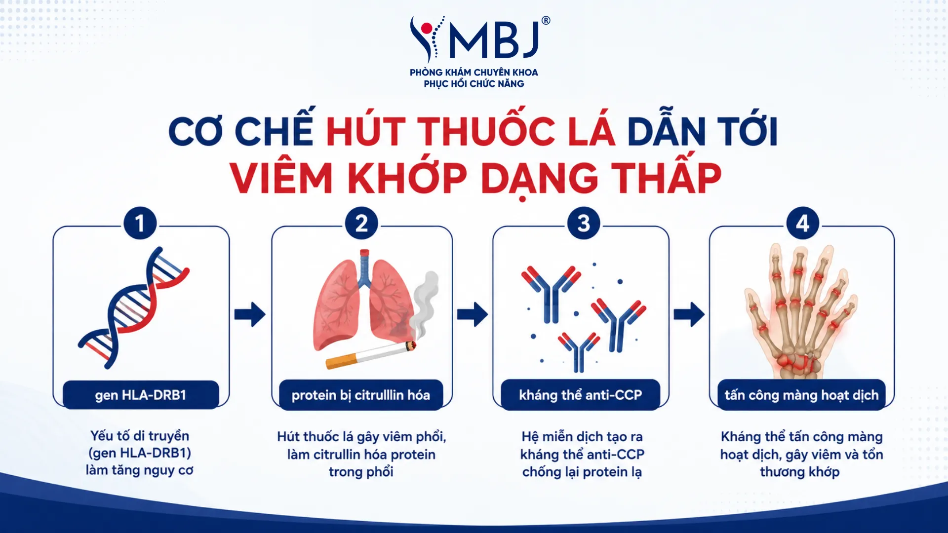 Chuỗi 4 bước từ khói thuốc lá tới phản ứng tự miễn tại màng hoạt dịch khớp
